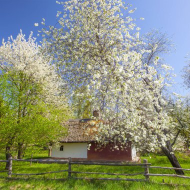 İlkbaharda Kyiv yakınlarındaki Pirogovo Müzesi, Ukrayna