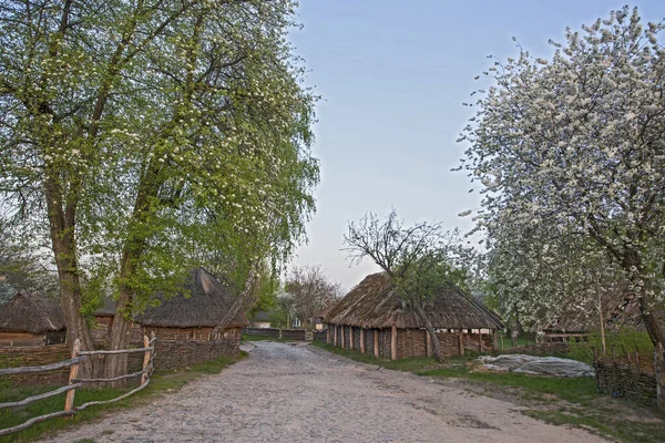 Casas Madeira Árvores Coloridas Tomadas Parque Outono Museu Pirogovo Kiev — Fotografia de Stock