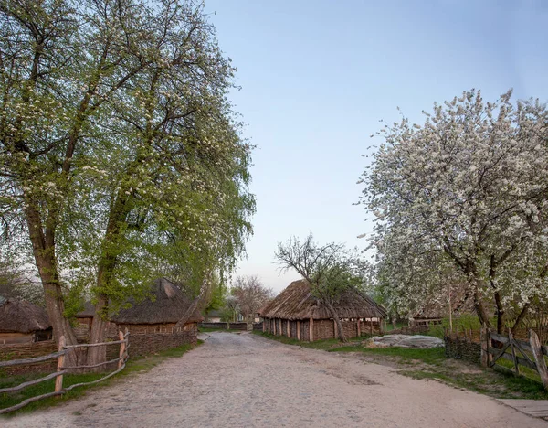 Casas Madeira Árvores Coloridas Tomadas Parque Outono Museu Pirogovo Kiev — Fotografia de Stock