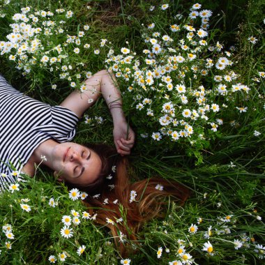 Kahverengi saçlı güzel bir kadın, gülümsüyor, papatya tarlasında.