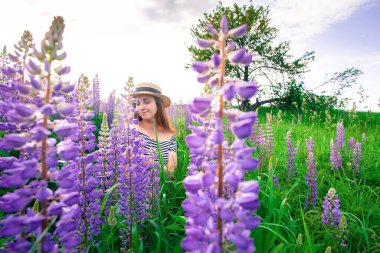 Lupin tarlasında şapkalı güzel bir kadın.