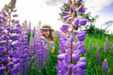 Lupin tarlasında şapkalı güzel bir kadın.