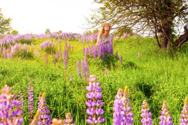 Lupin tarlasında şapkalı güzel bir kadın.
