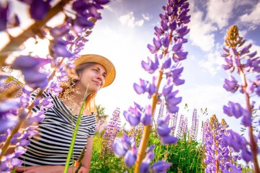 Lupin tarlasında şapkalı güzel bir kadın.