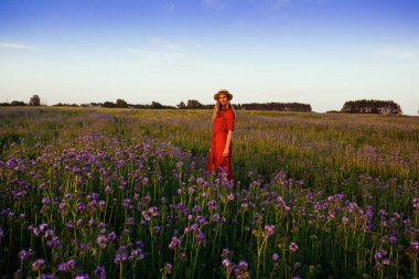 Violet Fas 'taki güzel genç kadın. Gün batımında çiçek tarlası.
