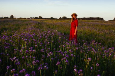 Violet Fas 'taki güzel genç kadın. Gün batımında çiçek tarlası.