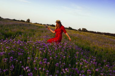Violet Fas 'taki güzel genç kadın. Gün batımında çiçek tarlası.