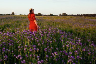 Violet Fas 'taki güzel genç kadın. Gün batımında çiçek tarlası.