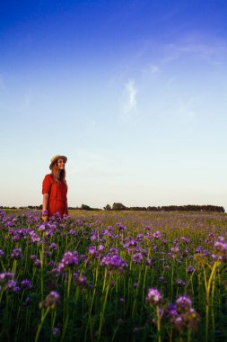Violet Fas 'taki güzel genç kadın. Gün batımında çiçek tarlası.