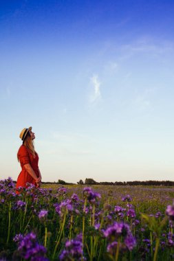 Violet Fas 'taki güzel genç kadın. Gün batımında çiçek tarlası.