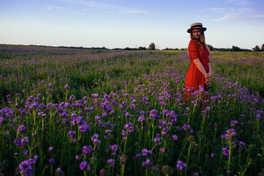 Violet Fas 'taki güzel genç kadın. Gün batımında çiçek tarlası.