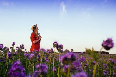 Violet Fas 'taki güzel genç kadın. Gün batımında çiçek tarlası.