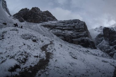 Thorong la Pass 'taki kar dağı sahnesi, Annapurna Koruma Alanı, Nepal