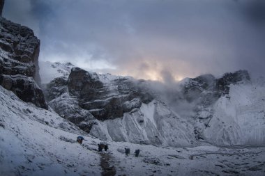 Thorong la Pass 'taki kar dağı sahnesi, Annapurna Koruma Alanı, Nepal