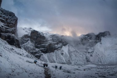 Thorong la Pass 'taki kar dağı sahnesi, Annapurna Koruma Alanı, Nepal