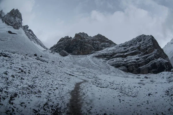 Thorong la Pass 'taki kar dağı sahnesi, Annapurna Koruma Alanı, Nepal