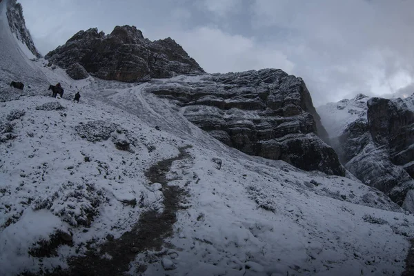 Thorong la Pass 'taki kar dağı sahnesi, Annapurna Koruma Alanı, Nepal