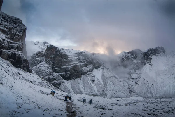 Thorong la Pass 'taki kar dağı sahnesi, Annapurna Koruma Alanı, Nepal