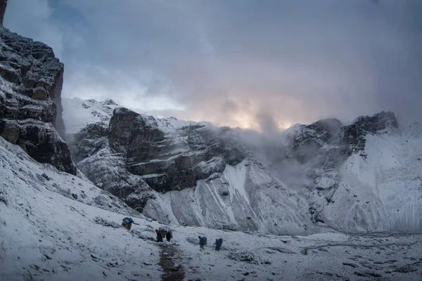 Thorong la Pass 'taki kar dağı sahnesi, Annapurna Koruma Alanı, Nepal