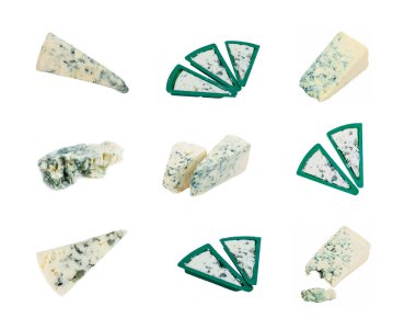 Küf izole edilmiş yumuşak küflü peynir kalıbı. 