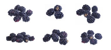 Taze böğürtlen seti beyaz üzerine izole