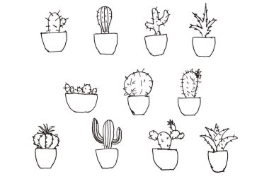 Cactus black pen drawing illustration