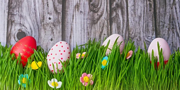 Ahşap Arka Planda Taze Çimlerde Parlak Paskalya Yumurtaları — Stok fotoğraf
