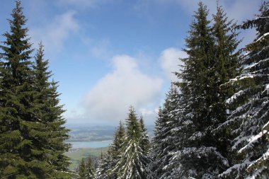 Dağlarda kar ve karla kaplı ağaçlar 