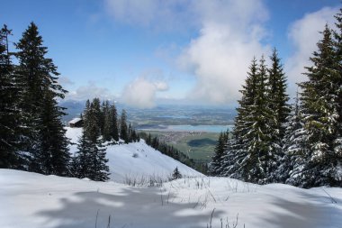 Dağlarda kar ve karla kaplı ağaçlar 