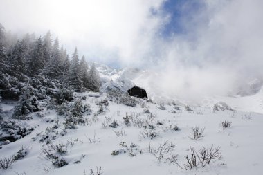 Almanya 'nın Bavyera şehrinde göllü Alp dağları 