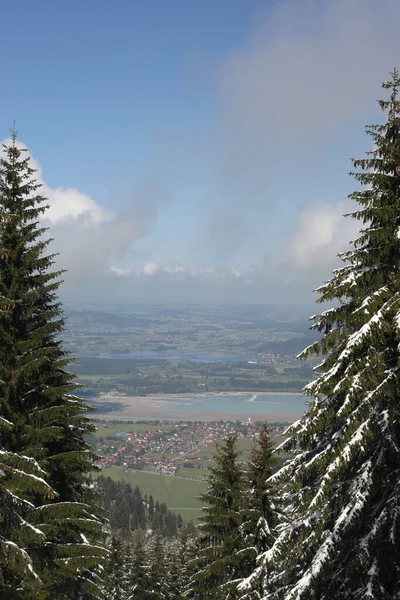 Träd Täckta Med Hesparfrost Och Snö Bergen — Stockfoto