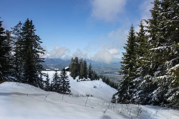 Bomen Bedekt Met Ijzel Sneeuw Bergen — Stockfoto