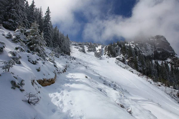 Árvores Cobertas Com Geada Neve Nas Montanhas — Fotografia de Stock