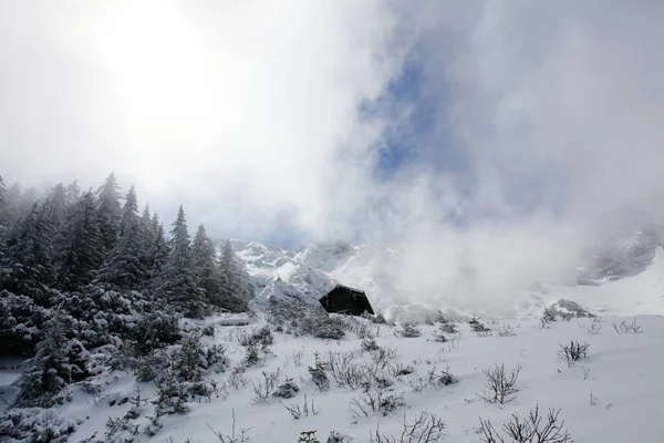 Montagnes Alpines Avec Lac Dans Vallée Bavière Allemagne — Photo