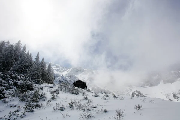 Montagnes Alpines Avec Lac Dans Vallée Bavière Allemagne — Photo