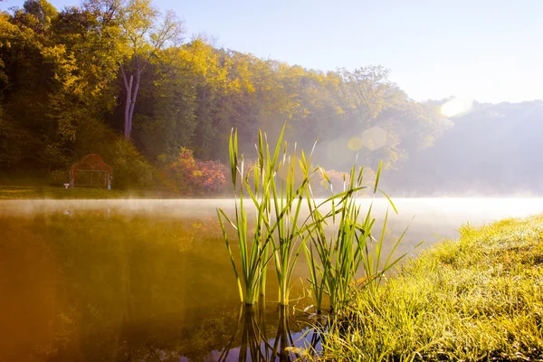 See am Morgen — Stockfoto