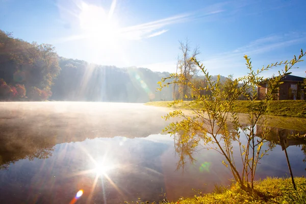 Lago de manhã — Fotografia de Stock