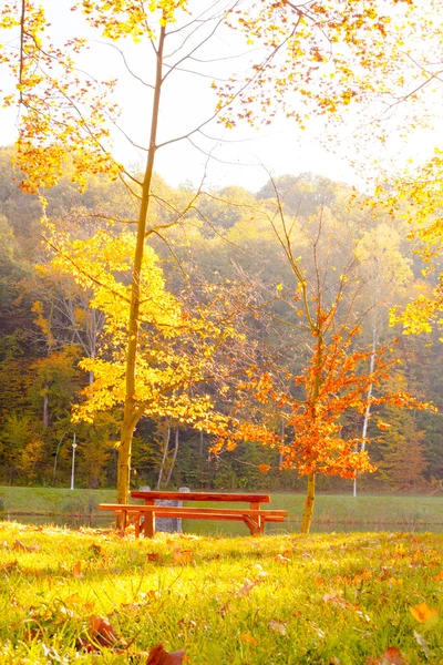 Herbstpark — Stockfoto