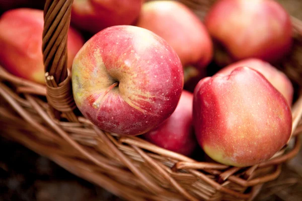 Ripe apples apples in basket — Stock Photo, Image