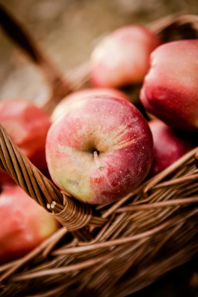 Ripe apples apples in basket — Stock Photo, Image