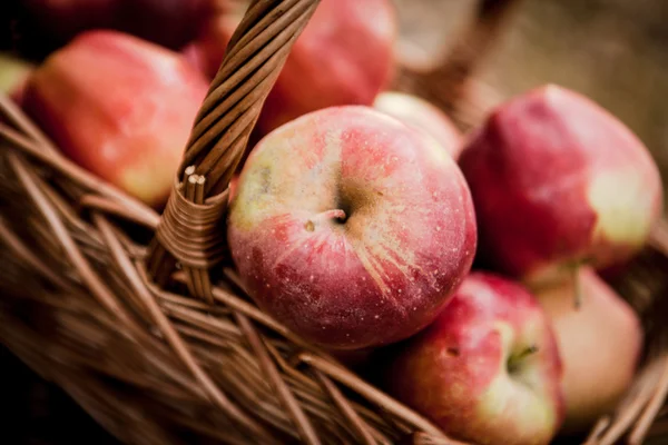 Ripe apples apples in basket — Stock Photo, Image