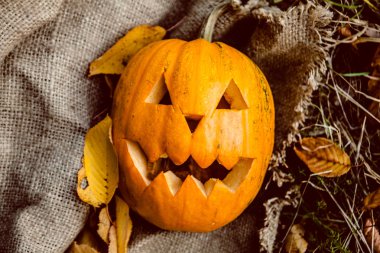 Cadılar Bayramı Balkabağı