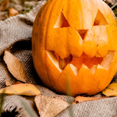 Cadılar Bayramı Balkabağı