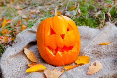 Cadılar Bayramı Balkabağı