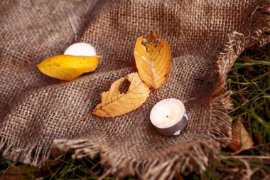 Akçaağaç yaprakları ve sıcak mum Kuru