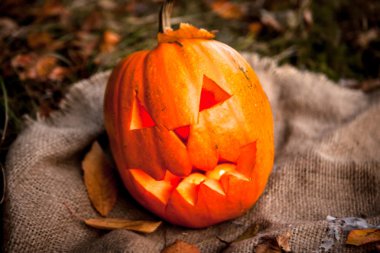 Cadılar Bayramı Balkabağı