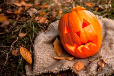 Cadılar Bayramı Balkabağı