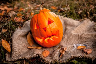 Cadılar Bayramı Balkabağı