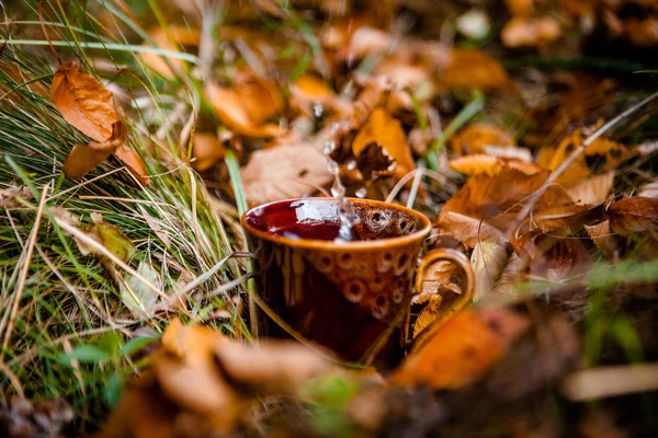 Tekopp med vatten — Stockfoto