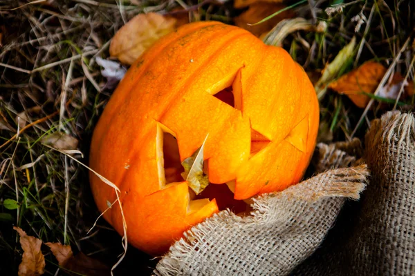 Halloweenpumpa — Stockfoto